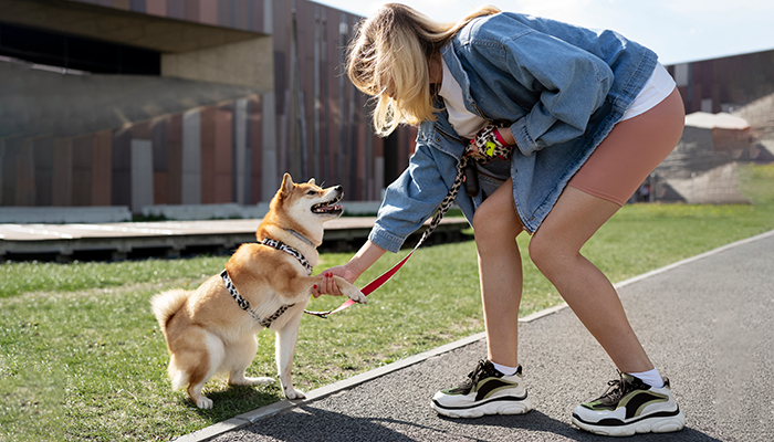 Strong Nylon Dog Leash – Durable & Tangle-Free