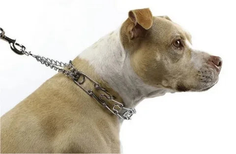 DOG COLLARS