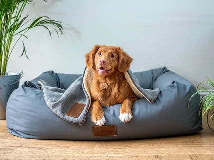 PET BEDS