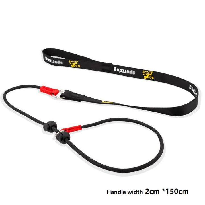 2-in-1 Training Dog Choking Rope Leash