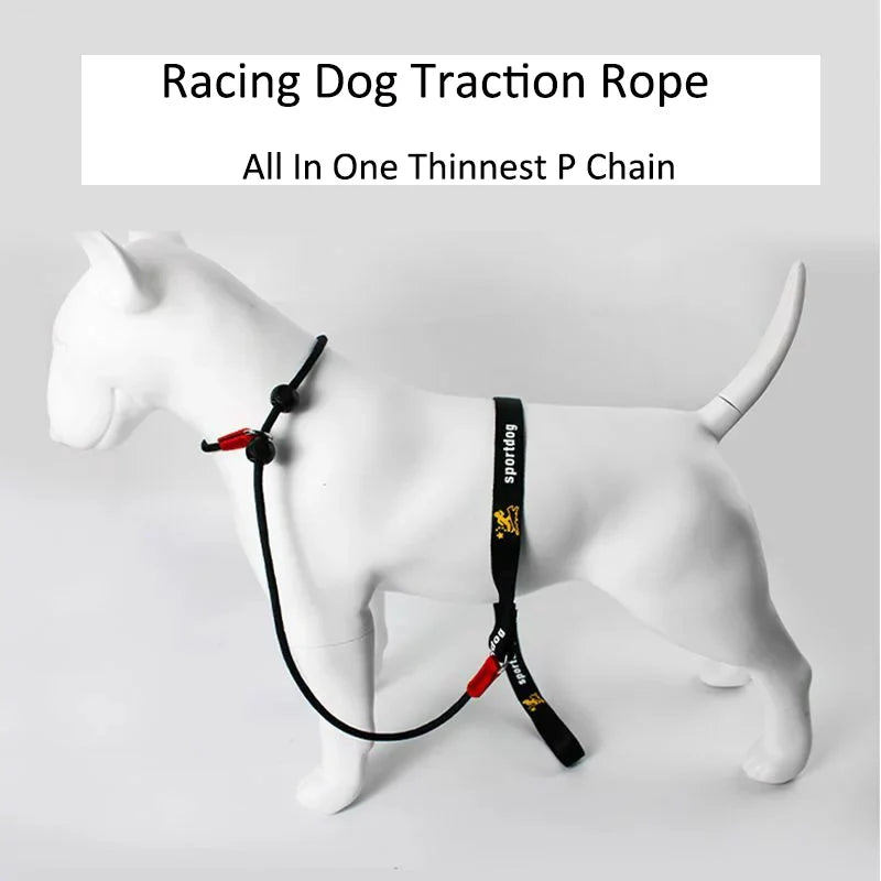 2-in-1 Training Dog Choking Rope Leash