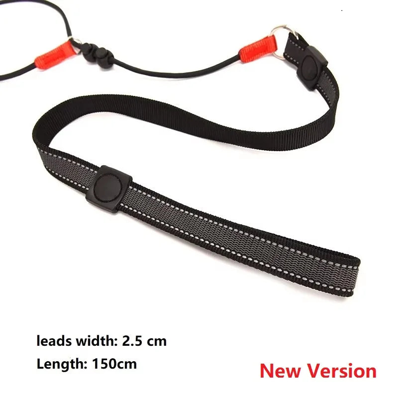 2-in-1 Training Dog Choking Rope Leash