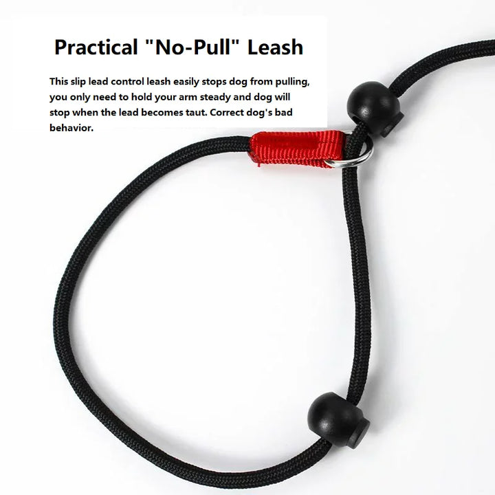 2-in-1 Training Dog Choking Rope Leash