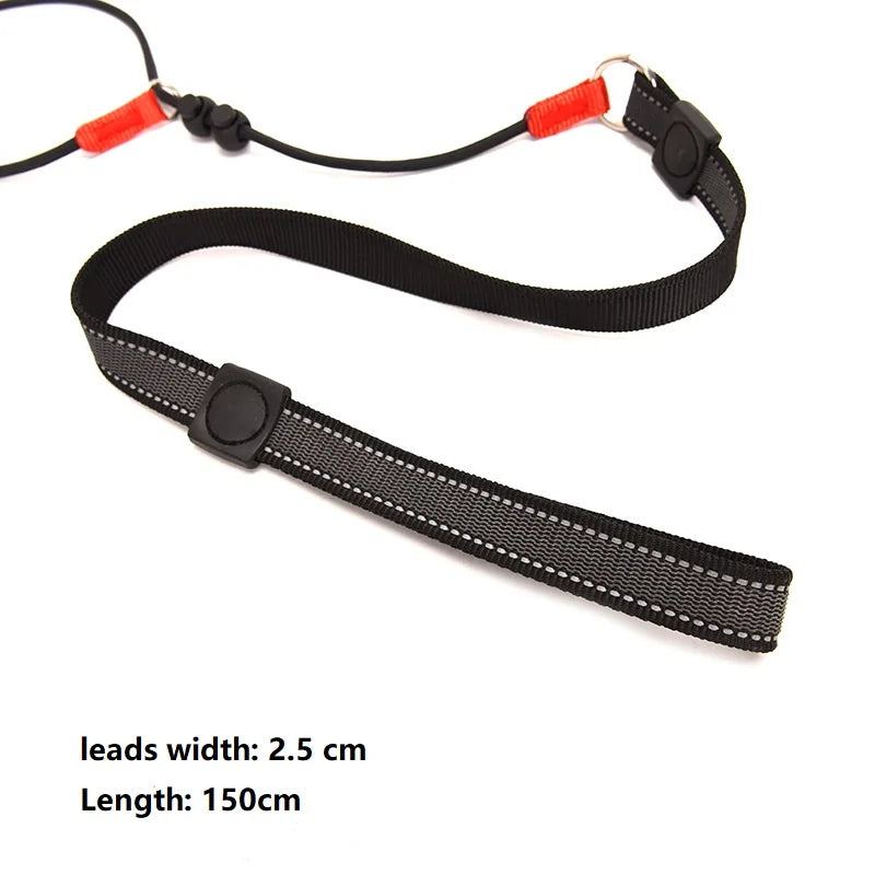 2-in-1 Training Dog Choking Rope Leash