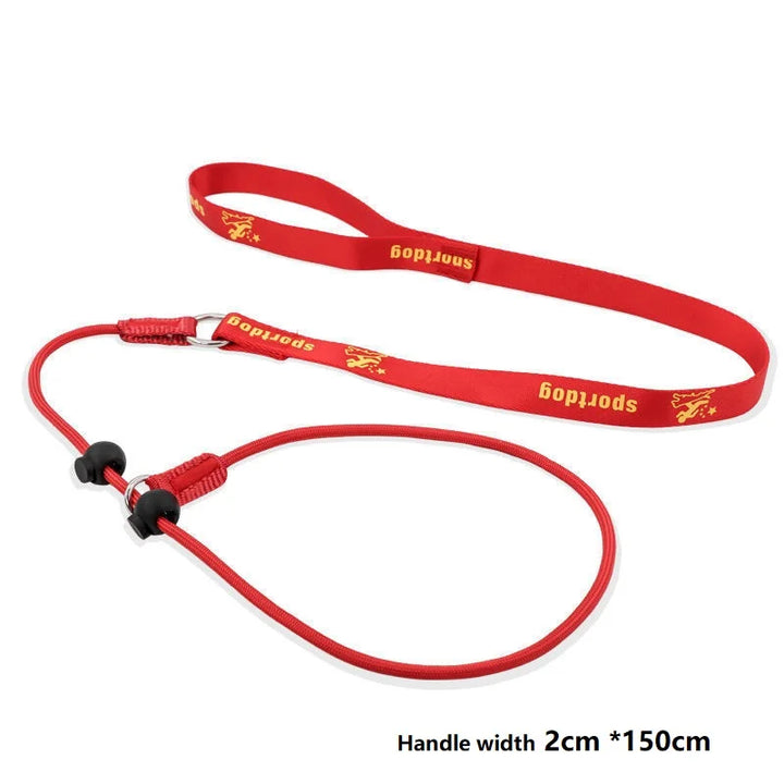 2-in-1 Training Dog Choking Rope Leash