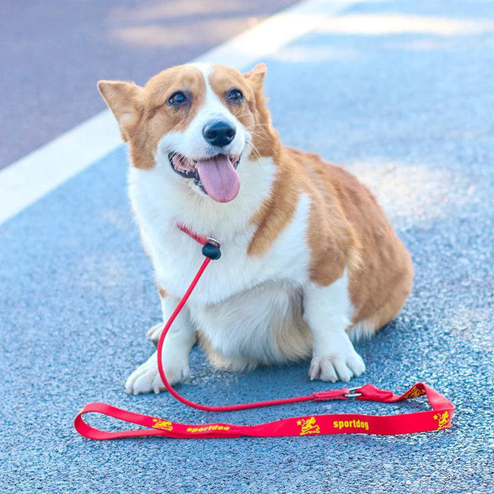 2-in-1 Training Dog Choking Rope Leash