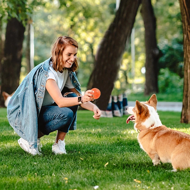 Durable Bouncy Rubber Dog Chew Ball