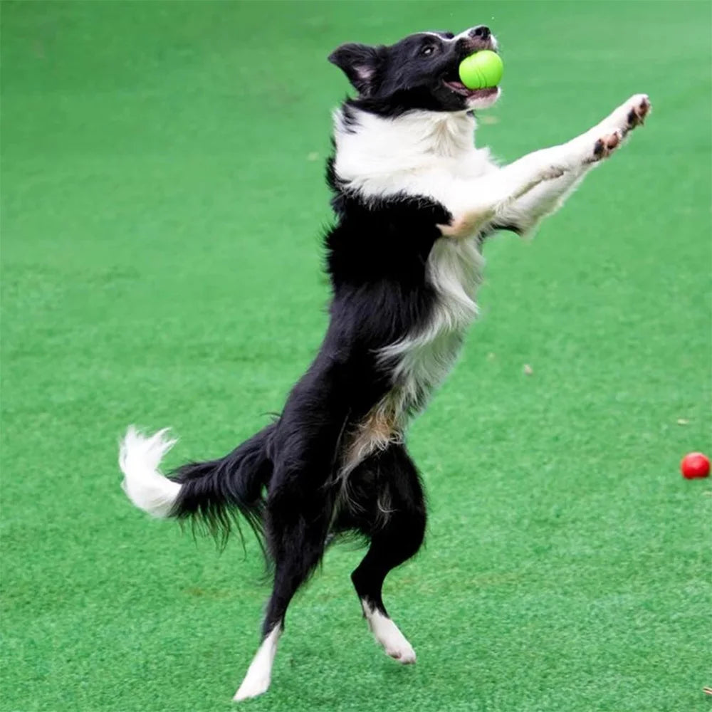 Durable Bouncy Rubber Dog Chew Ball