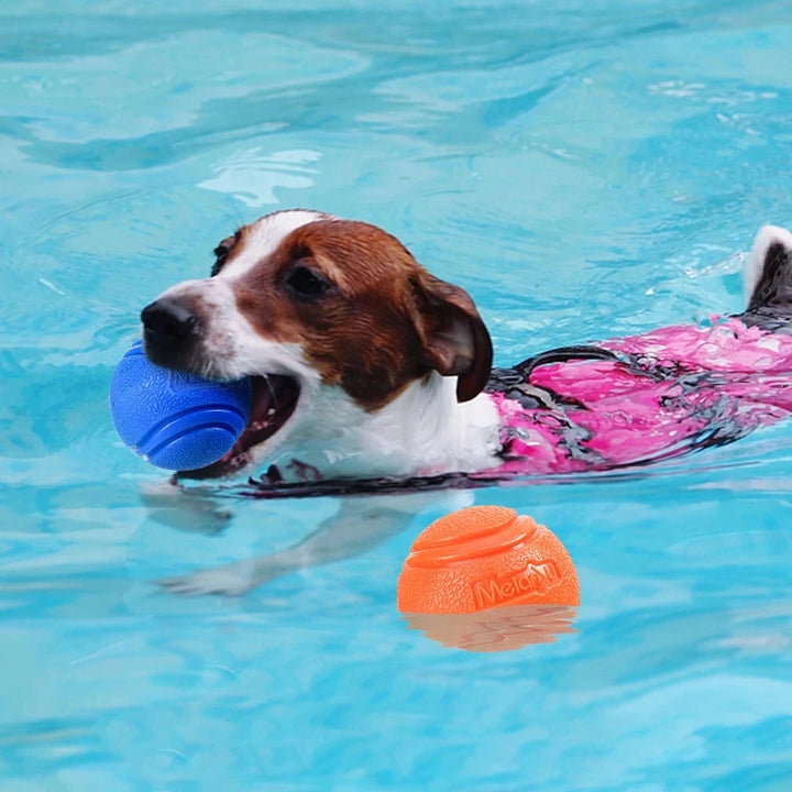 Durable Bouncy Rubber Dog Chew Ball