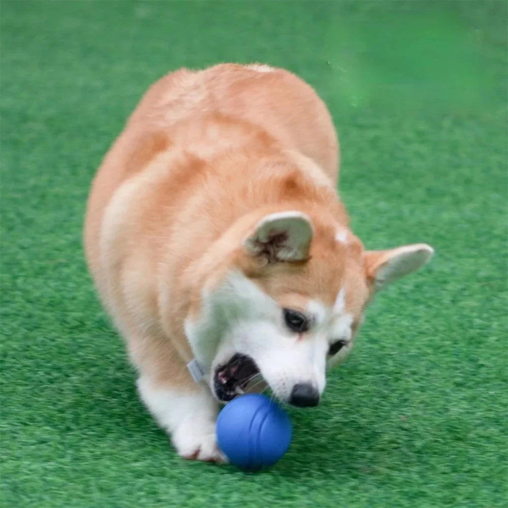 Durable Bouncy Rubber Dog Chew Ball