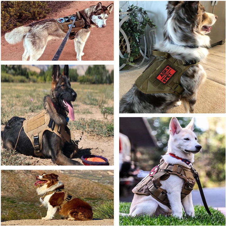 Military Tactical Dog Harness & Leash Set