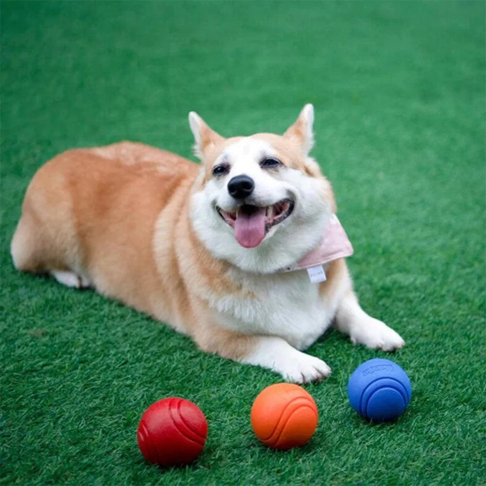 Durable Bouncy Rubber Dog Chew Ball