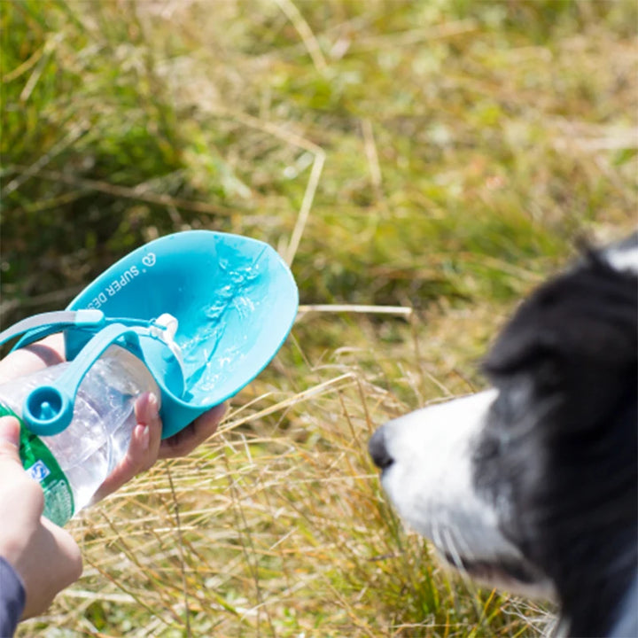 Portable Dog Water Bottle with Bowl