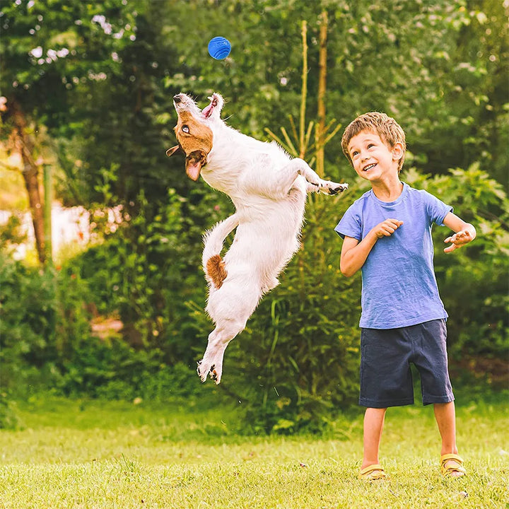 Durable Bouncy Rubber Dog Chew Ball