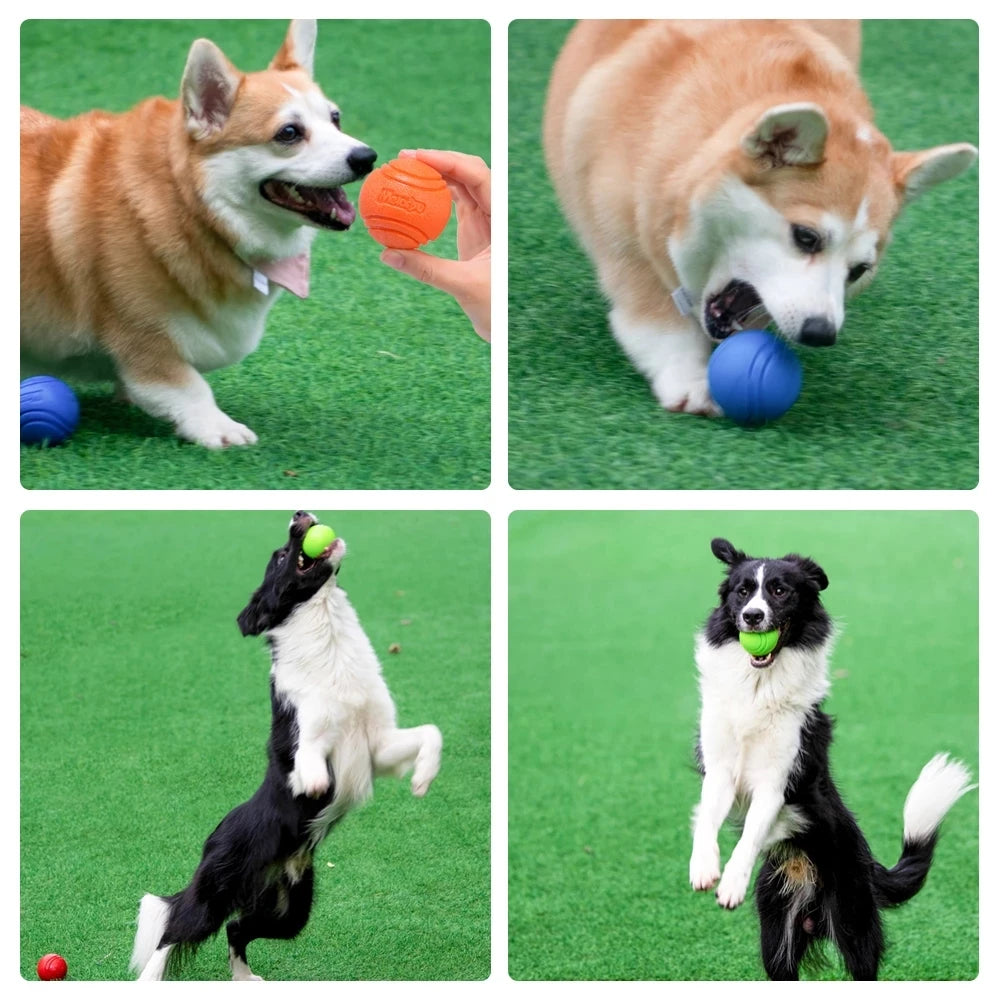 Durable Bouncy Rubber Dog Chew Ball