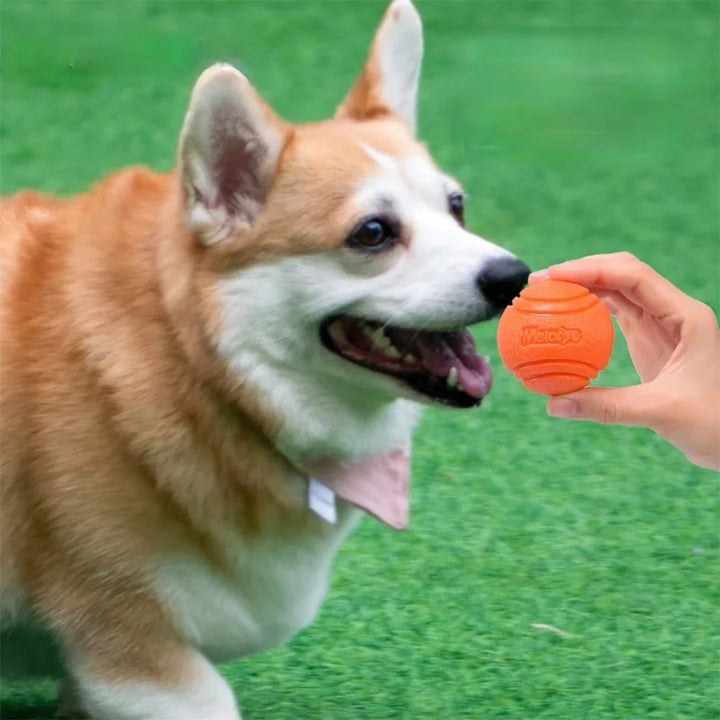 Durable Bouncy Rubber Dog Chew Ball