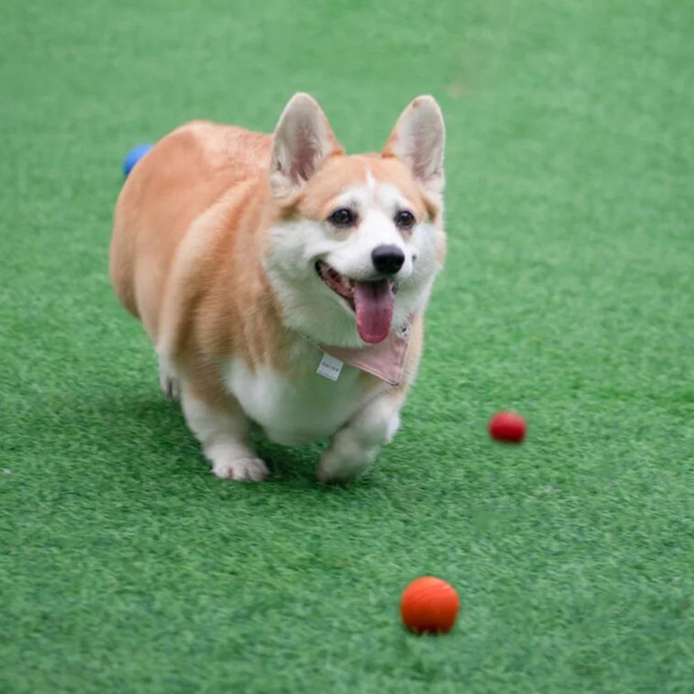 Durable Bouncy Rubber Dog Chew Ball