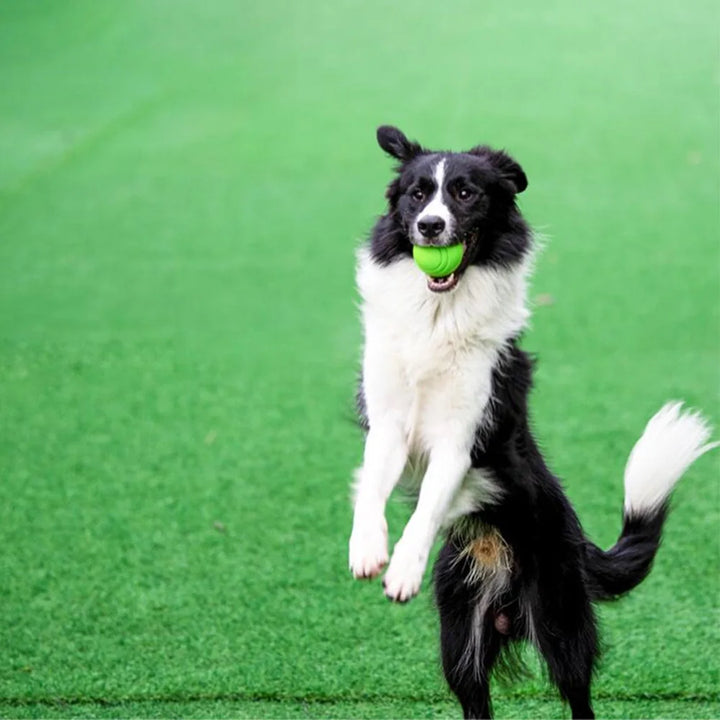 Durable Bouncy Rubber Dog Chew Ball