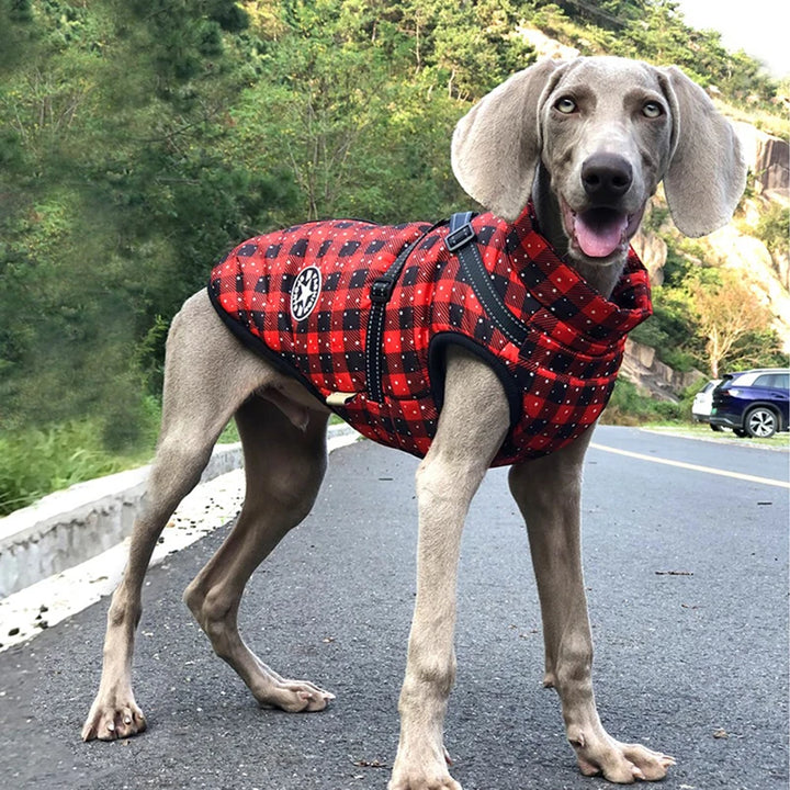 Winter Fleece Dog Coat with Harness