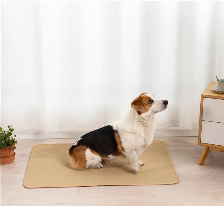 Waterproof Reusable Dog Diaper Mat