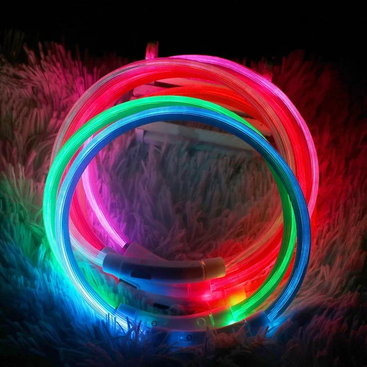 LED Dog Collar USB Rechargeable Glowing