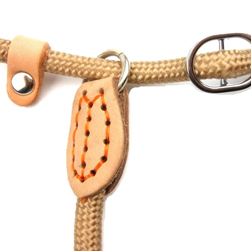 Heavy Duty Braided Dog Leash Rope