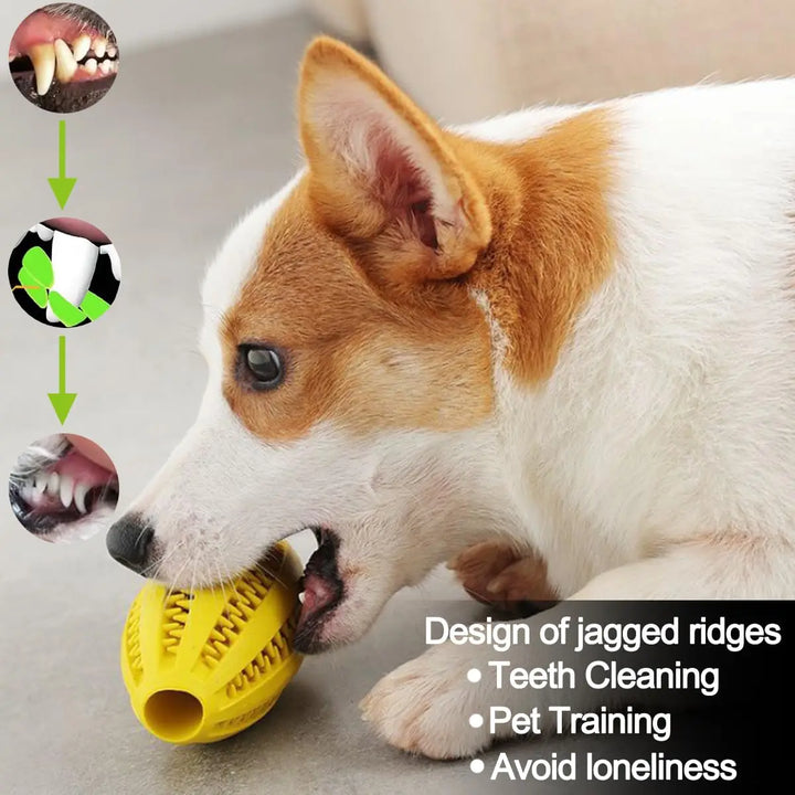 Durable Rubber Dog Chew Snack Ball