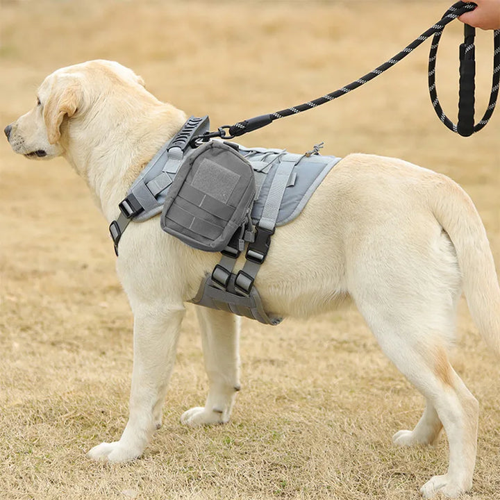 Tactical Dog Harness for Outdoor Training