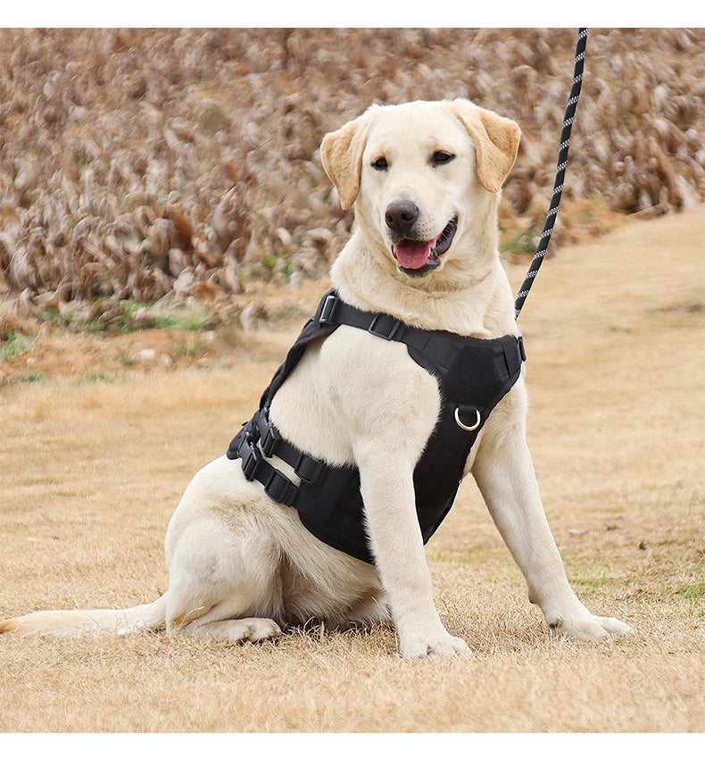 Tactical Dog Harness for Outdoor Training