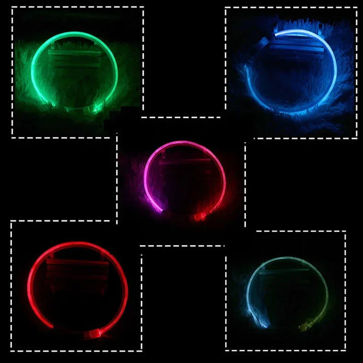 LED Dog Collar USB Rechargeable Glowing