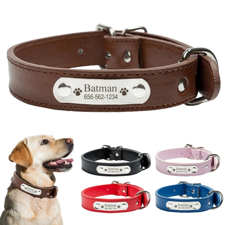 LED Dog Collar USB Rechargeable Glowing