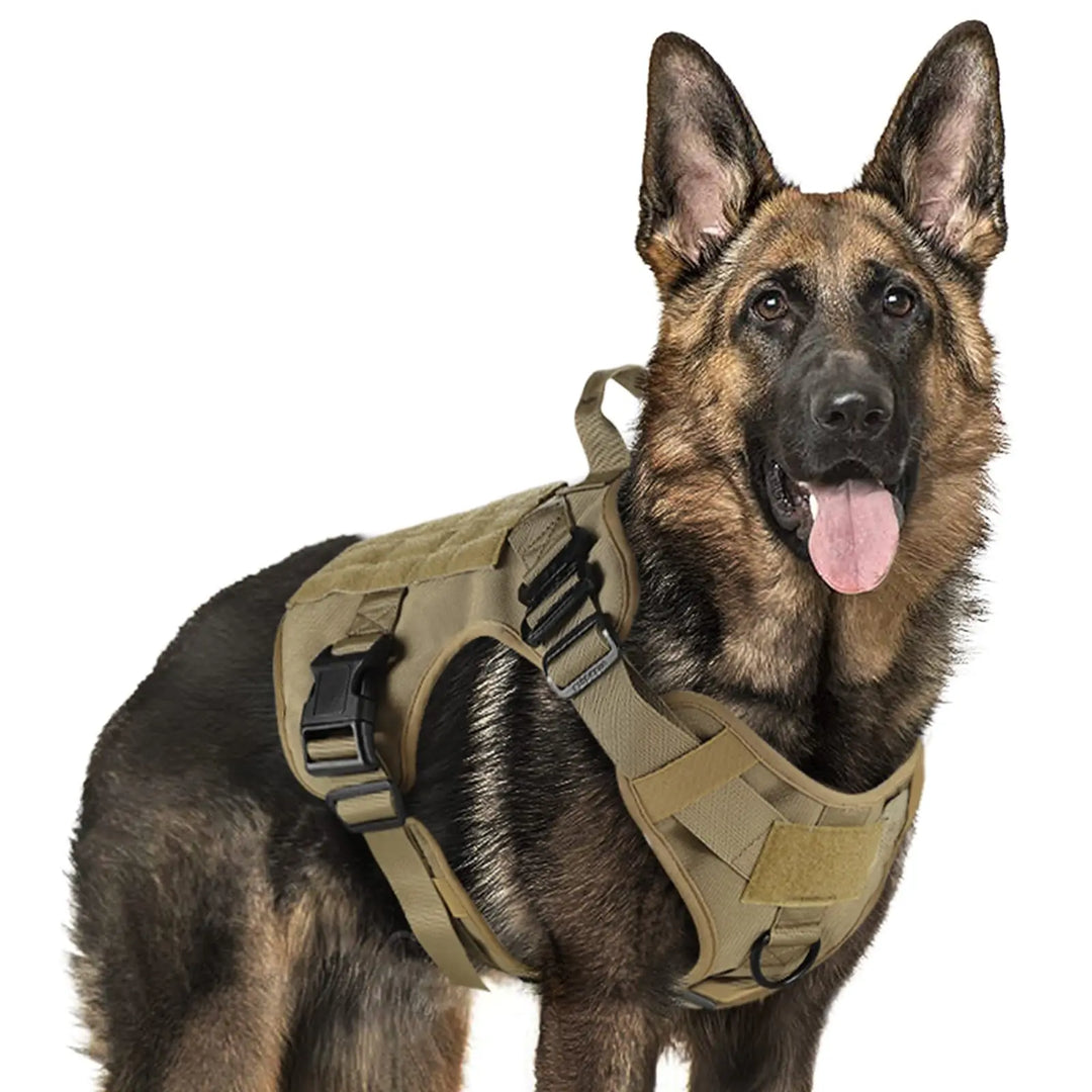 Military Tactical Dog Harness & Leash Set