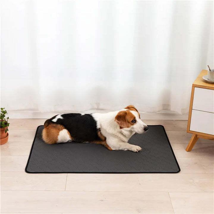 Waterproof Reusable Dog Diaper Mat