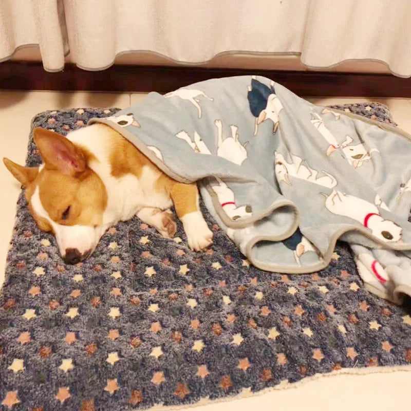 Soft Flannel Pet Mat Blanket