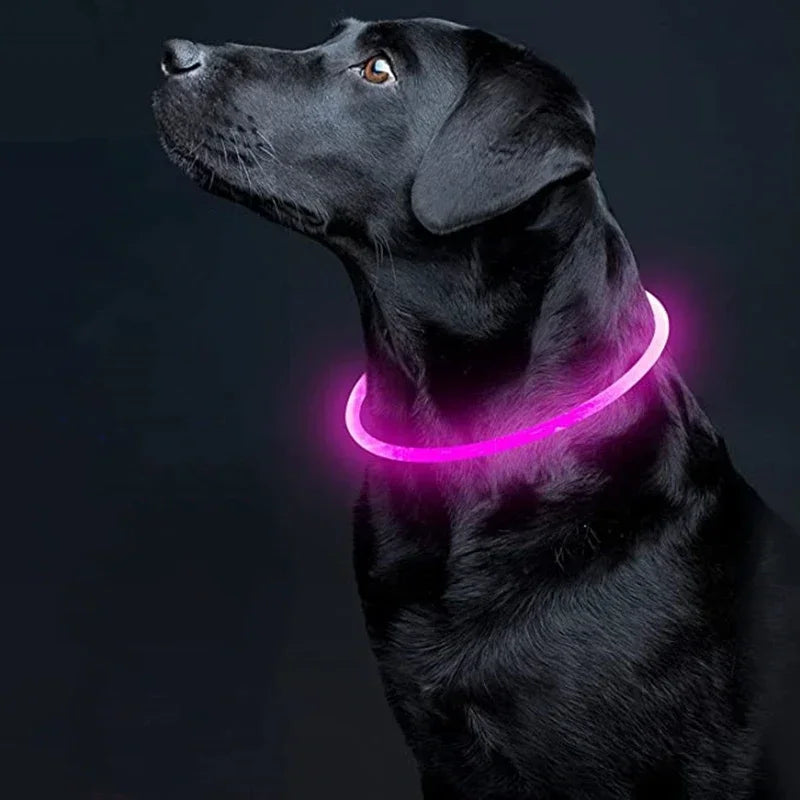 LED Dog Collar USB Rechargeable Glowing