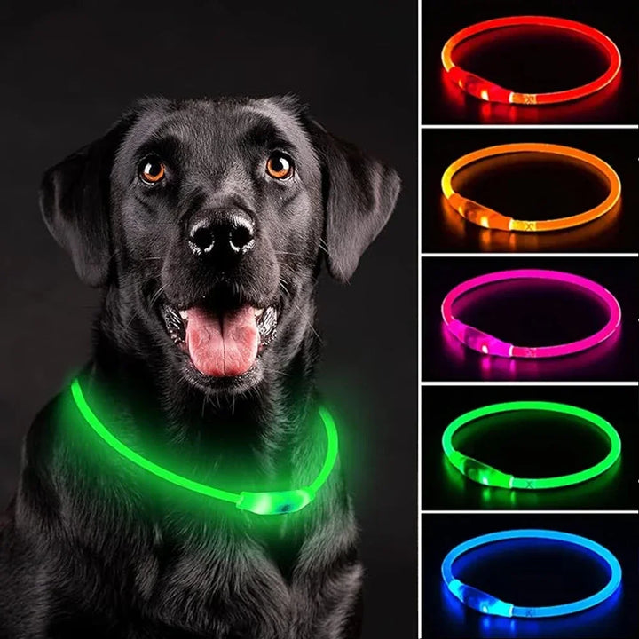 LED Dog Collar USB Rechargeable Glowing