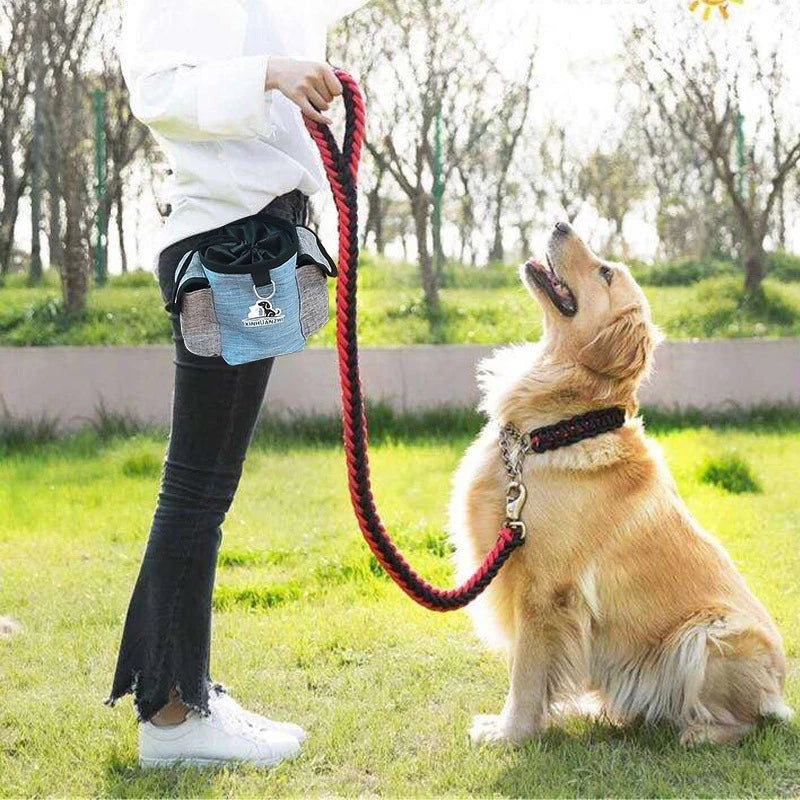 Portable Dog Training Treat Pouch – Convenient storage for treats & essentials.