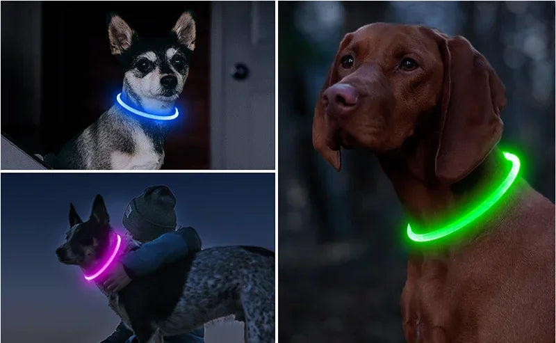 LED Dog Collar USB Rechargeable Glowing