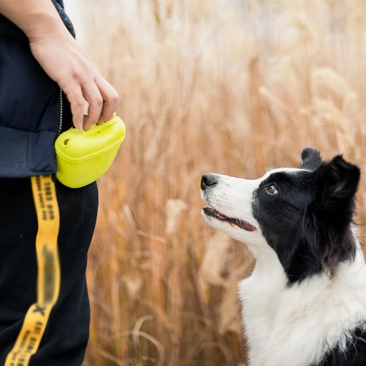 Portable Dog Training Treat Waist Bag