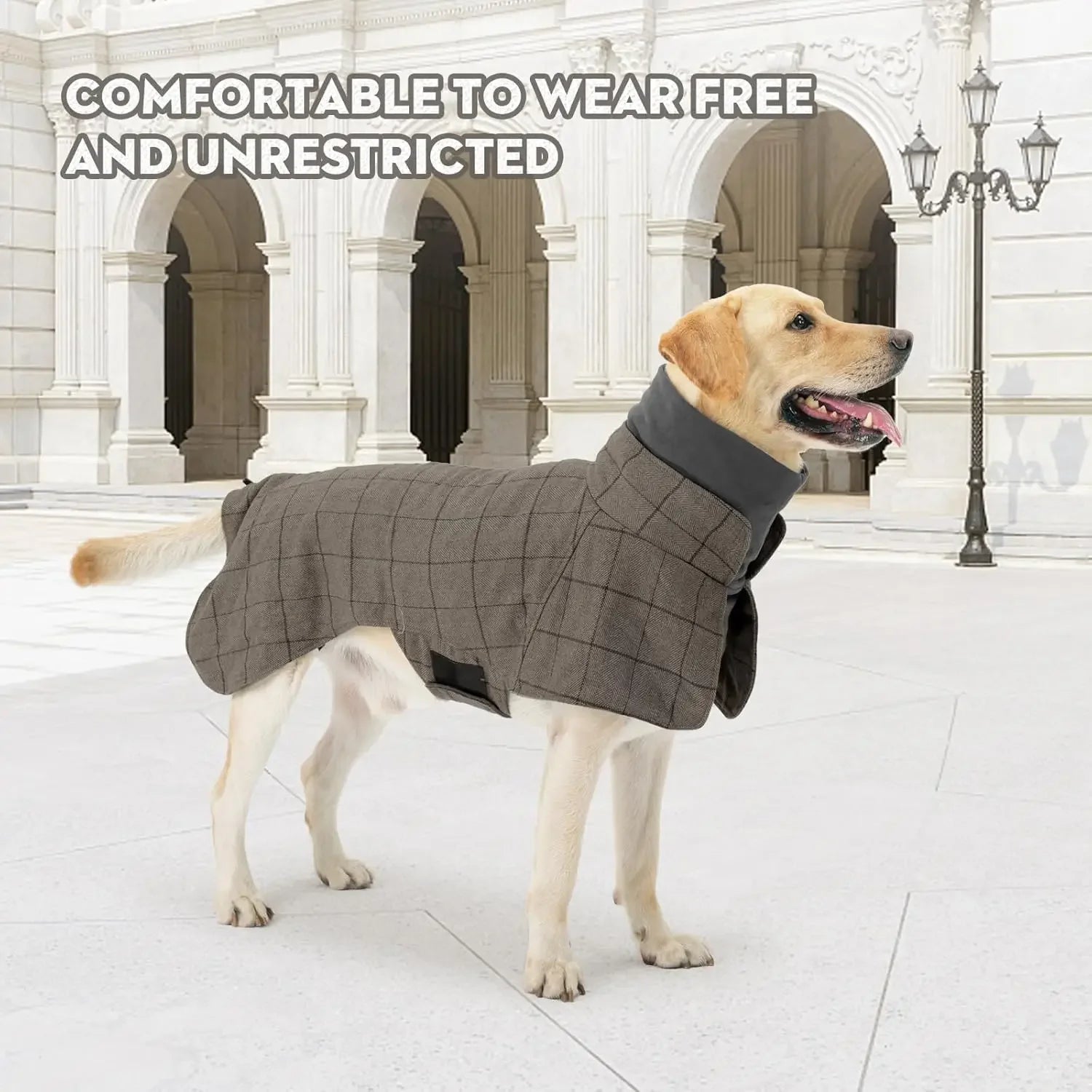 Warm Plaid Dog Coat with Traction Eyelets – Stylish, cozy, and secure for walks.