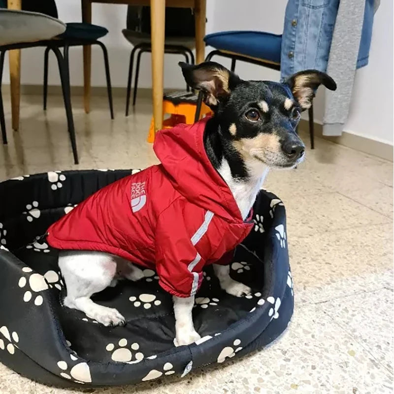 Waterproof Reflective Dog Coat for Winter