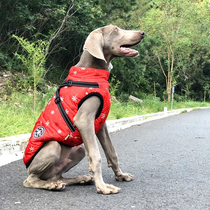 Winter Fleece Dog Coat with Harness