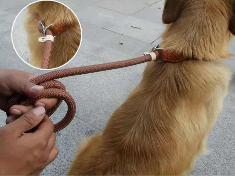 Heavy Duty Braided Dog Leash Rope