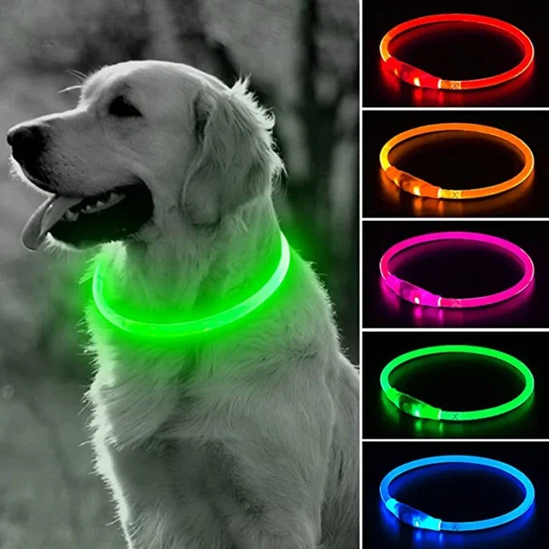 LED Dog Collar USB Rechargeable Glowing