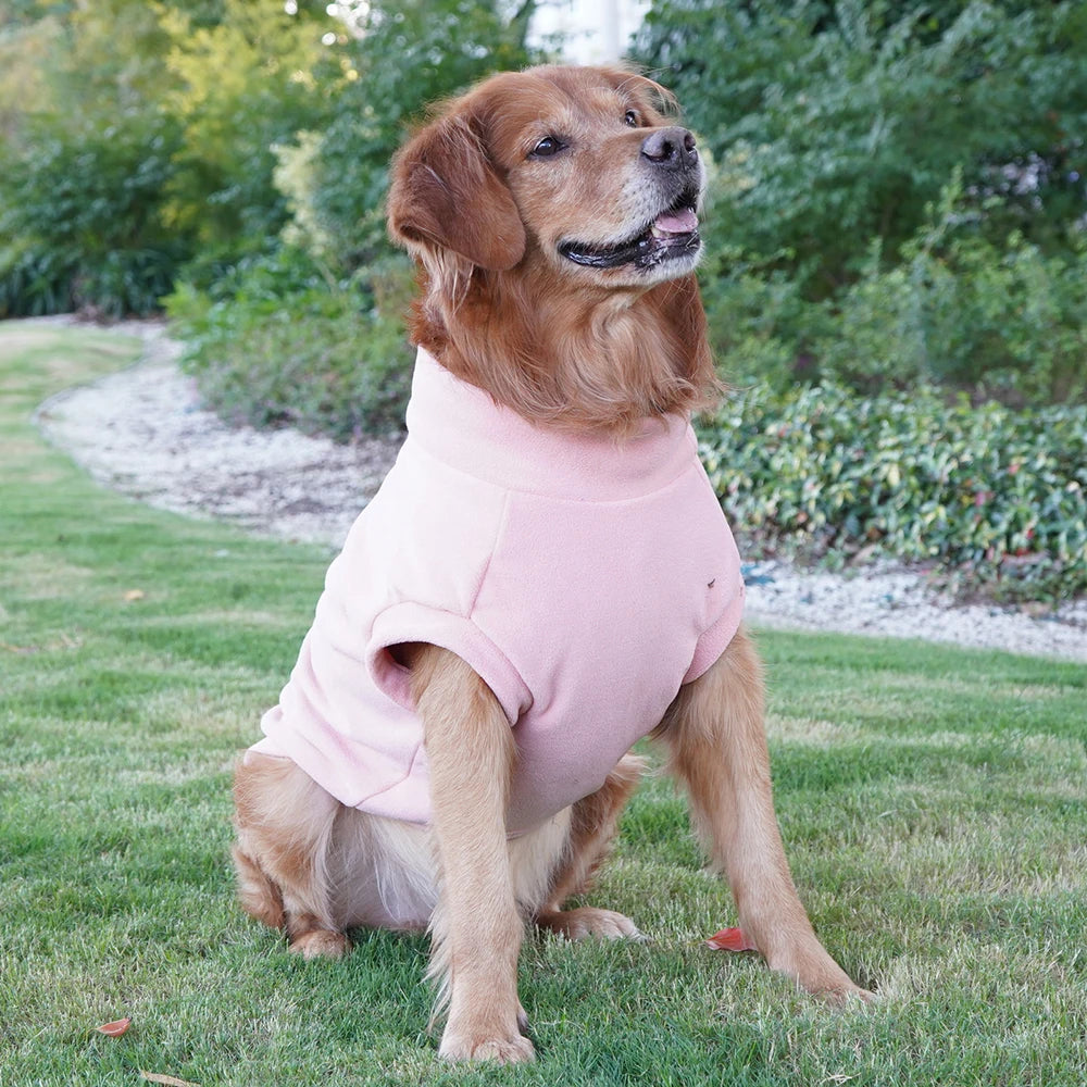 Soft fleece dog jacket for winter – warm and cozy coat for small to large dogs.