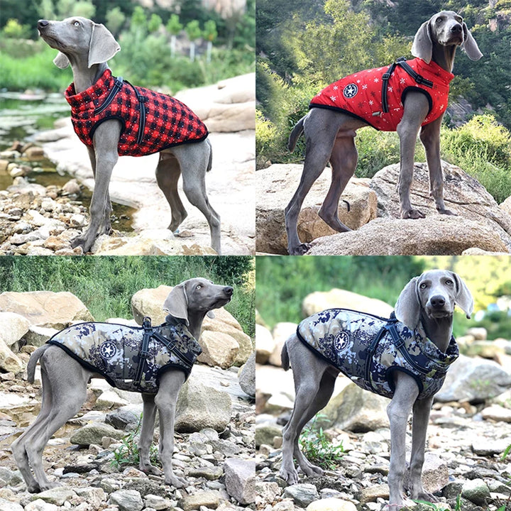 Winter Fleece Dog Coat with Harness