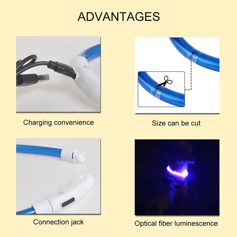 LED Dog Collar USB Rechargeable Glowing