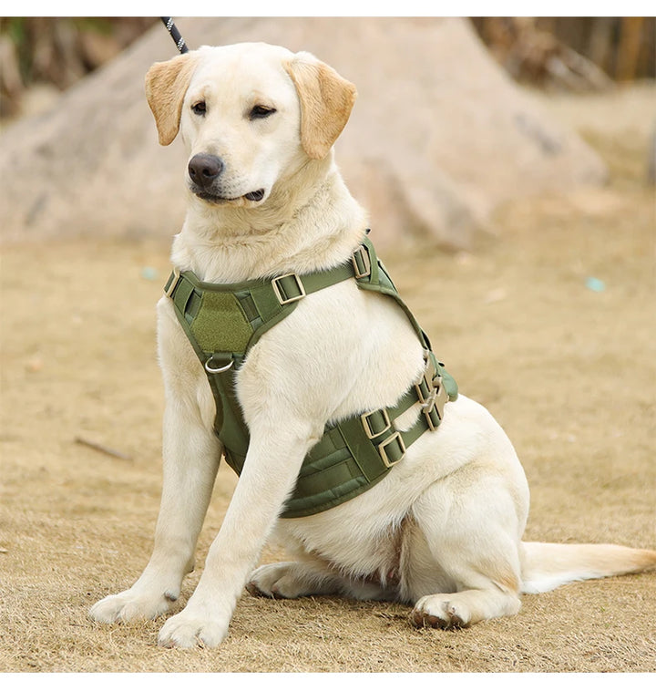 Tactical Dog Harness for Outdoor Training