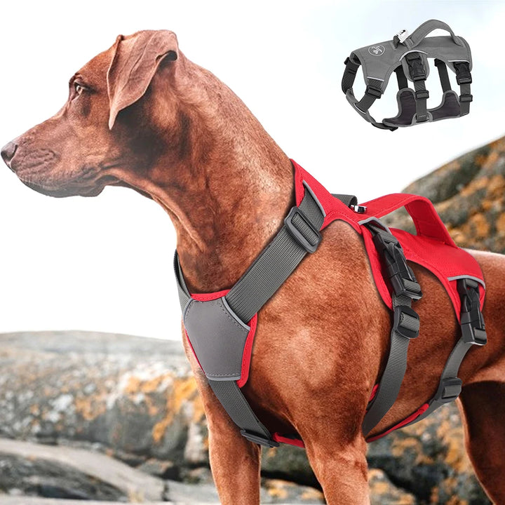 No Pull Adjustable Dog Harness with Handle