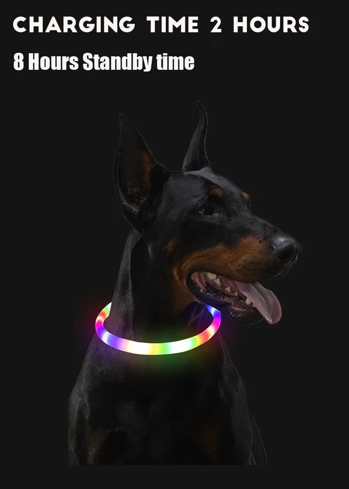 LED Dog Collar USB Rechargeable Glowing